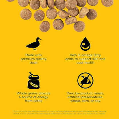 Go! Solutions Skin + Coat Care Duck Dry Dog Food with Grains, Chicken-Free, Healthy Kibble with Omega-3s & 6s for Soft, Shiny Fur, for Puppies, Adults, & Seniors, 22 lb Bag