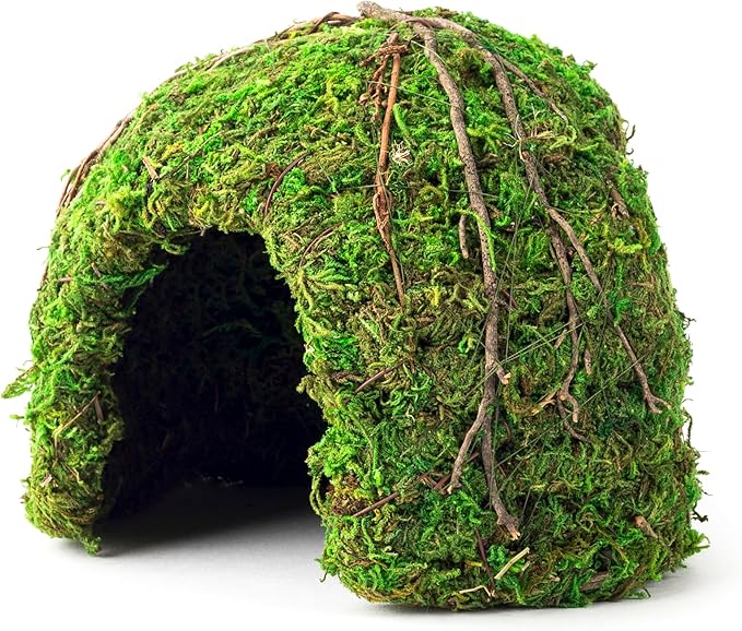 Galapagos (05366 Mossy Dome Hide, 6 in, Galápagos Green