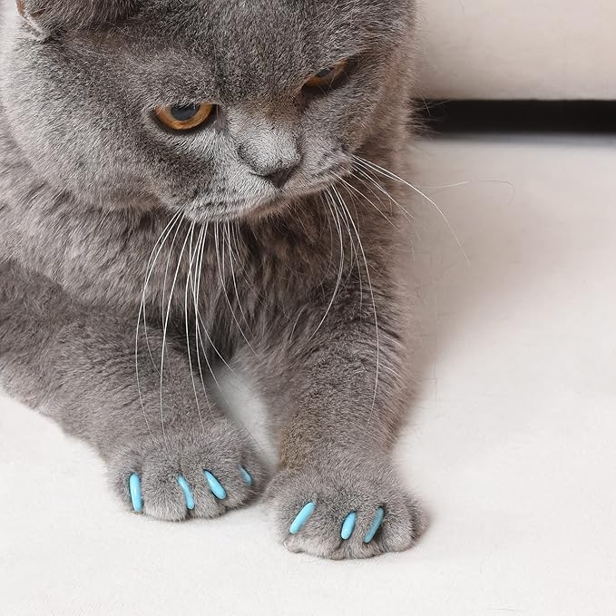 Kitty Caps Nail Caps for Cats, Black with Gray Tips & Baby Blue - Safe, Stylish & Humane Alternative to Declawing Stops Snags & Scratches, Medium (9-13 lbs), 40 Count - 3 Pack