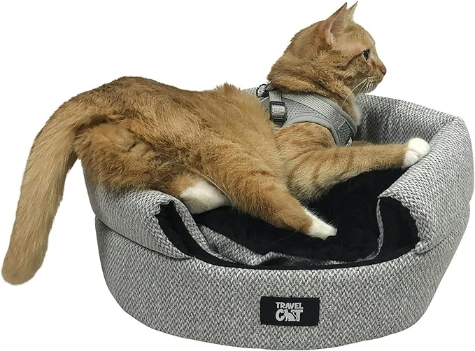 Travel Cat Meowbile Indoor Cat House - 25x18x17 inches Premium Convertible and Durable Hideaway Cat Bed and Cave (Gray, Medium)
