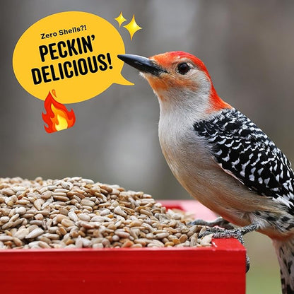Cool Birds Hearts on Fire Hot Bird Seed – 10 lb. 100% Hulled Sunflower Hearts with Chili Pepper Oil – No Waste Bird Seed for Outside Feeders