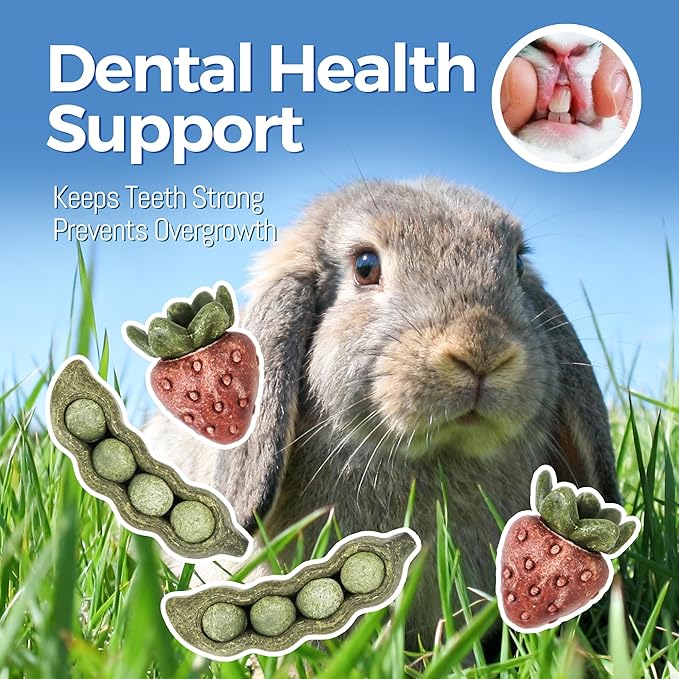 TEEWY 4PCS Guinea Pig Toys, Prevent Teeth Overgrowth, Natural Vegetables and Timothy Grass, Hamster Chew Toys, Guinea Pig Chew Toys, Chinchilla Toys, Peapod and Stawberry Chew Toy Set