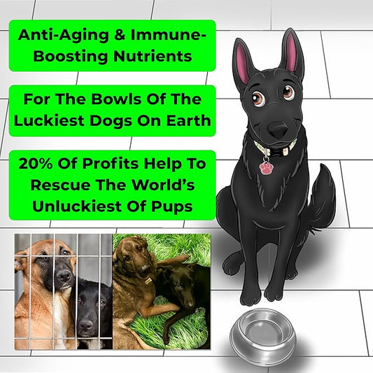 Anti-Aging & Immune Support | Organic, Human-Grade Ingredients | Medicinal Plants & Mushroom Extracts | Omega 3's, Antioxidants, Probiotics, Vitamins & Minerals | Plant-Based & Vegan