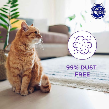 Cat’s Pride Micro Crystals Cat Litter, Non-Clumping, Scented, 30-Day Odor Control, 99% Dust Free, Lightweight, Soft on Paws, 6.5lb Bag (Pack of 2)