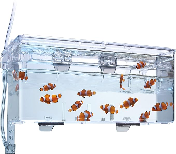 Fluval Multi-Chamber Holding and Breeding Box, Large – Up to 3 Separate Housing Compartments (Pack of 6)