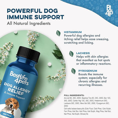 Dog Allergy Relief & Immune System Booster – Homeopathic Formula for Allergy Support & Skin Relief for Dog Itching – Helps with Sneezing, Runny Nose, Swelling, & Seasonal Allergies – 400 Tiny Pills