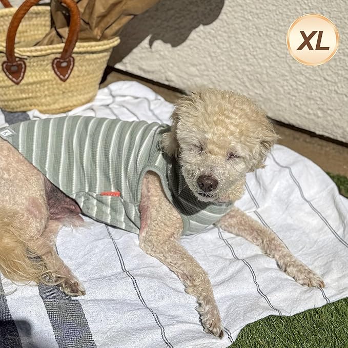 KYEESE 2Pack Waffle Dog Shirts, Lightweight Sleeveless Dog T Shirts for Small Medium Dogs Boy Girl, Breathable Pet Vest Comfortable Tank Top Soft Dogs Clothes for Daily Wear, Green+Striped, XL