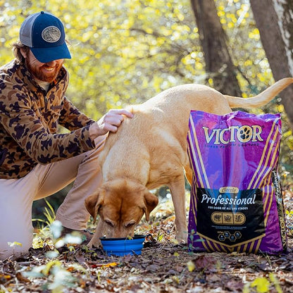 VICTOR Super Premium Dog Food – Professional Dry Dog Food – Super Premium Kibble with 26% Protein – Gluten-Free with Beef, Chicken & Pork Meals – for High Energy and Active Dogs & Puppies, 40lbs