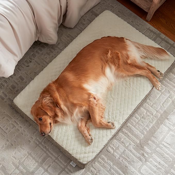 JOEJOY Orthopedic Dog Bed for Extra Large Dogs, Washable Dog Crate Bed Large Sized with Removable Cover, Egg Memory Foam Big Pet Beds, Beige, 47"x29"