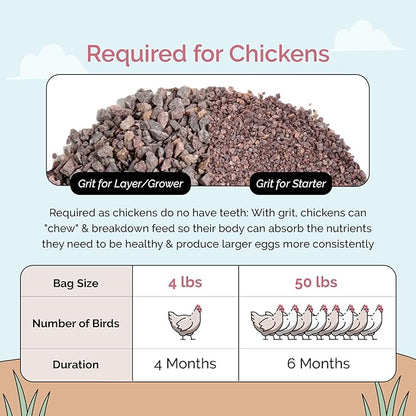 Mile Four Chicken Grit (50 lbs) for Layer & Grower Chickens Age 8-20+ Weeks - 100% Natural Mineral Chicken Grit Quartzite, Poultry Grit, USA Mined