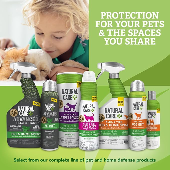Natural Care Flea and Tick Dog Shampoo - Flea & Tick Treatment for Dogs - Flea & Tick Killer with Certified Natural Oils - 12 Fluid Ounces