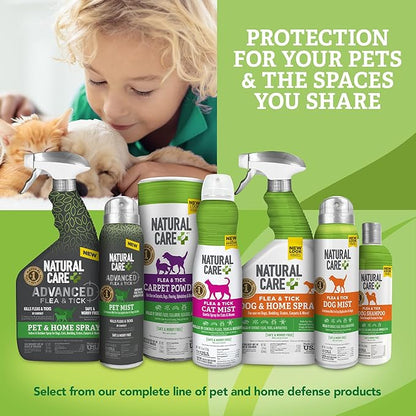 Natural Care Flea and Tick Dog Shampoo - Flea & Tick Treatment for Dogs - Flea & Tick Killer with Certified Natural Oils - 12 Fluid Ounces