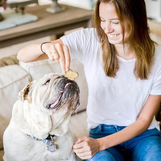 Cloud Star Wag More Bark Less - Dog Treats - Crunchy Biscuits - Grain Free Chicken & Sweet Potato - 14 oz Box (Pack of 2)