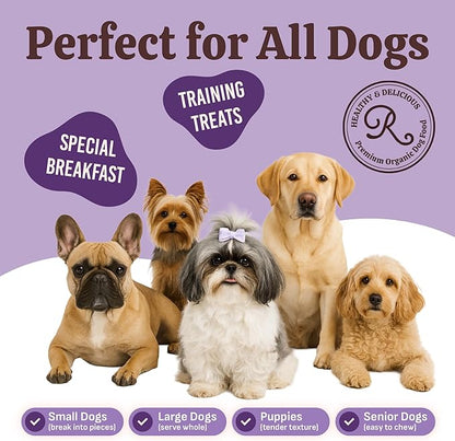 Rondi's Kitchen Pancake Mix for Dogs - Premium All-Natural & Organic Dog Treats, Healthy Dog Snacks for All Ages & Sizes, Made with Human-Grade Ingredients - Chicken & Blueberry
