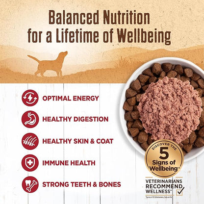 Wellness 95% Beef Natural Wet Grain Free Canned Dog Food, 13.2-Ounce Can (Pack of 12)