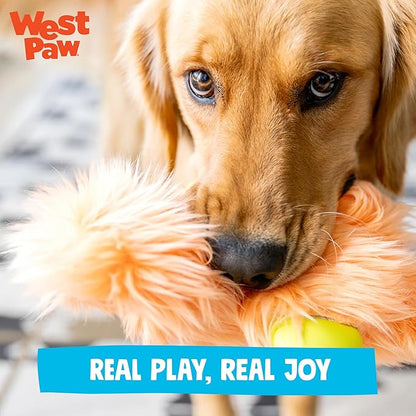 WEST PAW Rowdies Astrid Durable Plush Dog Toy with Reinforced Seams and Chew Resistant Design for Tough Play Safe Indoor or Outdoor Fun for Dogs Who Deserve the Best - Citrus