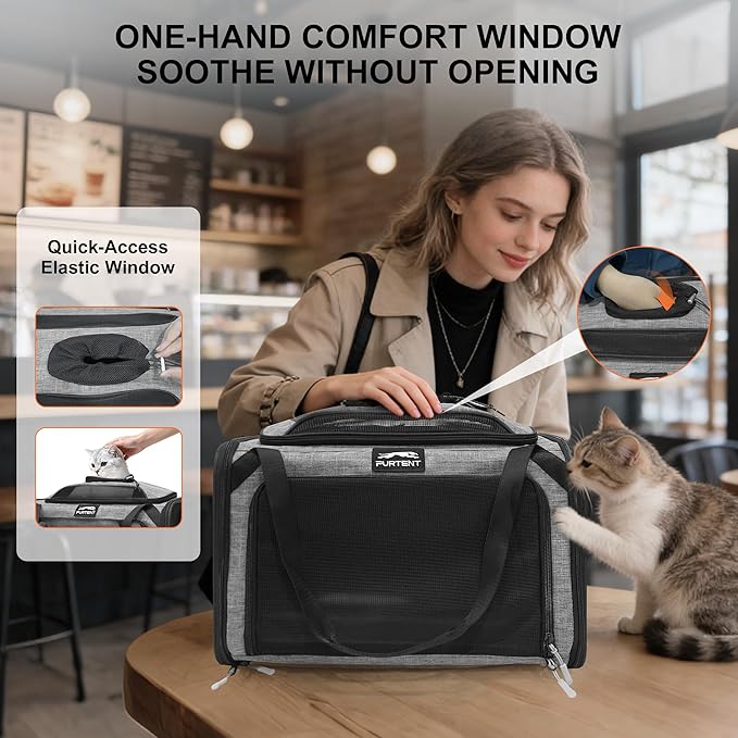 Cat Carrier, Airline Approved Dog Carrier with Top and Side Expansion, 360° Ventilation Soft-Sided Cat Carrier with Safety Leash, Foldable Travel Carrier for Small Cats and Dogs,Grey
