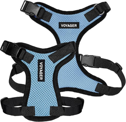 Voyager Step-in Pet Harness - All Weather Mesh, Adjustable Step in Harness for Cats and Dogs by Best Pet Supplies - Baby Blue/Black Trim, XL