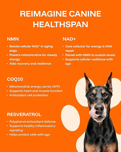 Dog Longevity Supplement NAD+ & NMN - Joint Health, Vitality & Healthy Aging - Nano liposomal Technology - Easy to Give Every Day - Better Absorption - Resveratrol - CoQ10
