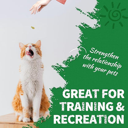 Just Try 36 OZ Cat Treats for Indoor Cats Hairball Control Natural Salmon Healthy Cat Grass Treats Kitten Snacks Training Biscuits Catnip for Cats Dental Care