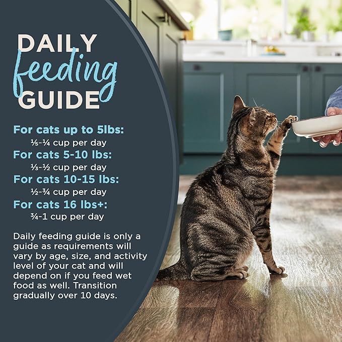 Reveal Natural Dry Cat Food, Grain and Potato Free, with Added Vitamins & Minerals, Food for Cats, Whitefish Recipe 3 x 3 lb Bags