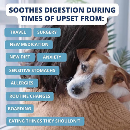Under the Weather Bland Diet for Dogs | Easy to Digest for Sick Dogs |Always Be Ready| Contains Electrolytes - All Natural Freeze Dried 100% Human Grade Meats| 1 Pack- Chicken, Rice & Bone Broth - 6oz