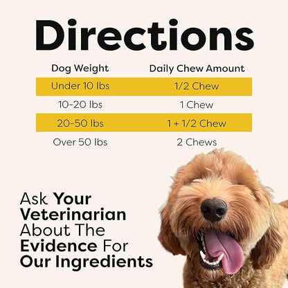 Doc Itchy: Itch Defense Dog Allergy Chews | Zinc + P.E.A. Itch & Allergy Relief Armor | Improve Paw Licking, Scratching, Hot Spots, Red Ears | Zinc Supplement for Dogs | Food Allergy Safe | 90 Chews