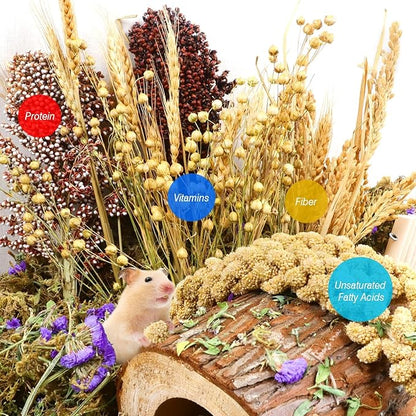 Natural Hamster Bedding, Hamster Herbs Flowers for Hamster Cage Enclosure Habitat Decor Hamster Sprays for Dwarf Syrian Guinea Hamsters Gerbil Degus or Other Small Animals（Grain Version）