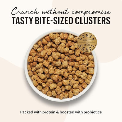 The Honest Kitchen Whole Food Clusters Grain Free Chicken & Fish Dry Cat Food, 1 lb Trial Pouch (Pack of 2)