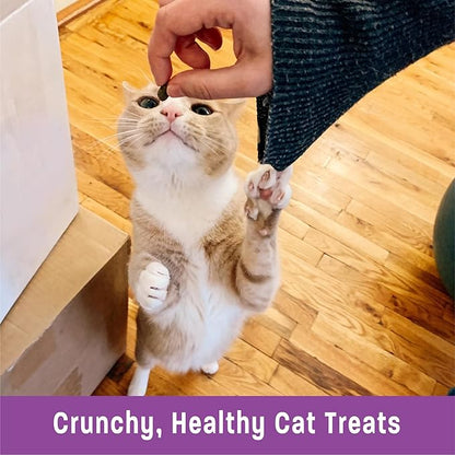 Wellness Kittles Crunchy Natural Grain Free Cat Treats, Salmon & Cranberries Recipe, All Life Stages, 2-Ounce Bag (Pack of 2)