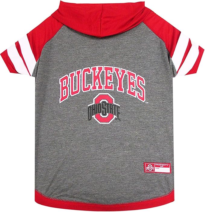 Ohio Hoodie Tee Shirt