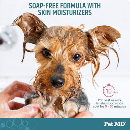 Pet MD - Benzoyl Peroxide Medicated Shampoo for Dogs and Cats - Effective for Skin Conditions, Dandruff, Itch Relief, Acne and Folliculitis - Citrus Scent - 12 oz (Pack of 2)