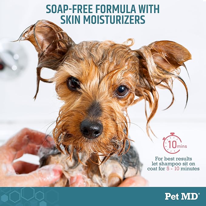 Pet MD Benzoyl Peroxide Shampoo for Dogs and Cats – Helps Relieve Itchy, Oily & Flaky Skin – Deep Cleansing & Deodorizing Formula – Scented – 12 oz