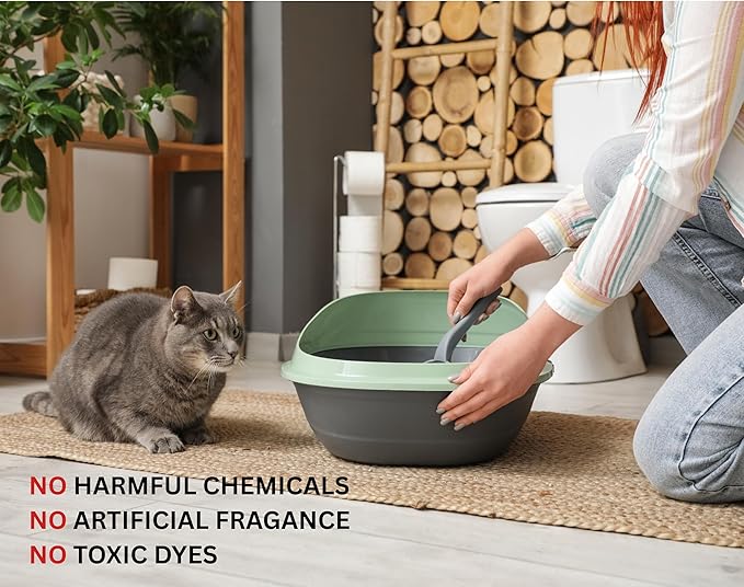 Plant-Based Bamboo Fiber Cat Litter, Green & Eco Friendly, Powerful Odor Control, No Chemicals, Instant Clumping, 99% Dust Free, 5.3Pounds, Fresh Bamboo Scent