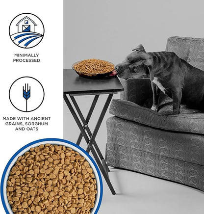 BIXBI Liberty Ancient Grains Dry Dog Food, Game Bird Feast Recipe – Fresh Meat, High Protein, Wholesome Grains – USA Made, 4 lbs