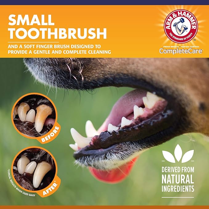 Arm & Hammer Complete Care Puppy Dental Kit, Enzymatic Toothpaste with Baking Soda and Calcium for Dogs, Peanut Butter Flavor, Toothbrush and Microfiber Brush Included, Fluoride-Free, 2.5 Oz