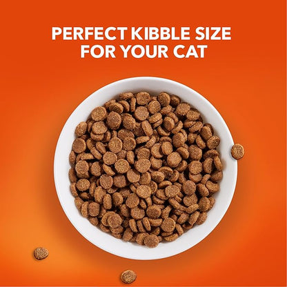 IAMS Proactive Health Senior Dry Cat Food Cat Food Dry Chicken Recipe, Real Chicken in Every Bite, 16 lb. Bag