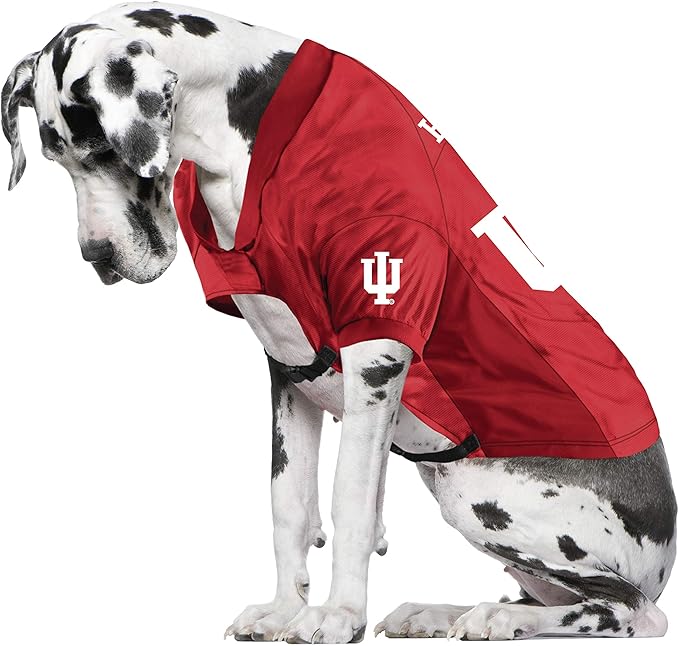 Littlearth NCAA Stretch Pet Jersey for Big Dogs