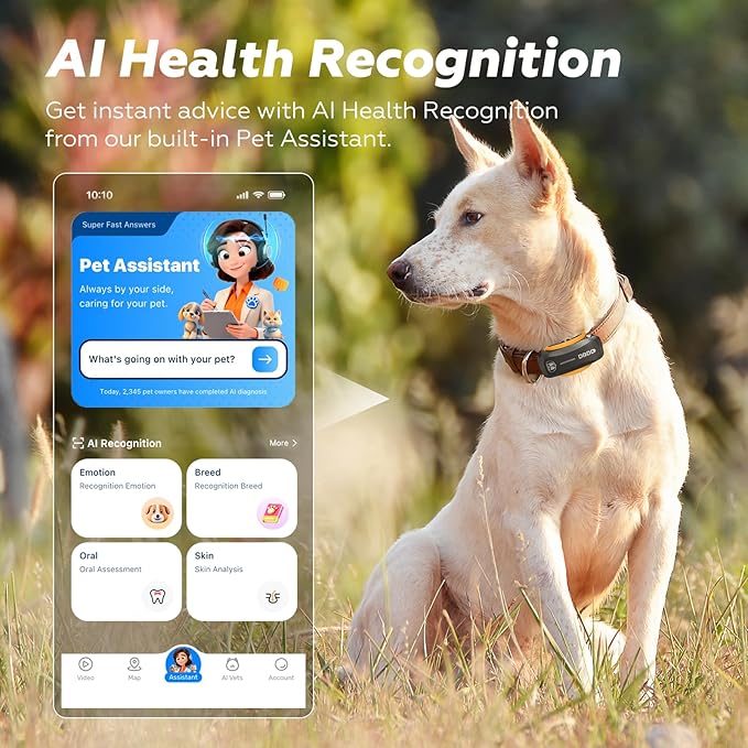 DBDD AI GPS Tracker for Dogs (30lbs+), Real Time Location and AI Health Assistant, Electronic Fence, Waterproof, iOS and Android Universal (D5-Black)