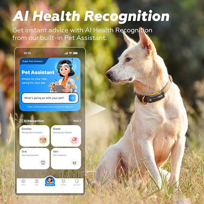 DBDD AI GPS Tracker for Dogs (30lbs+), Real Time Location and AI Health Assistant, Electronic Fence, Waterproof, iOS and Android Universal (D5-Black)