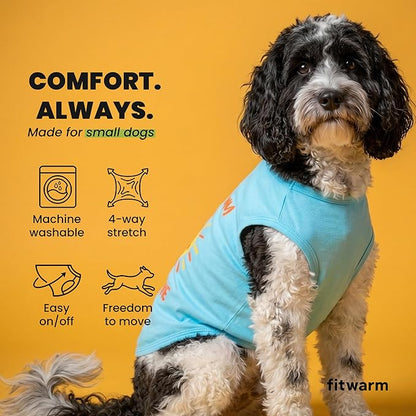 Fitwarm You are My Sunshine Dog Shirt, Tropical Summer Clothes for Small Dogs Boy Girl, Funny Pet Outfit, Blue, Yellow, XXL