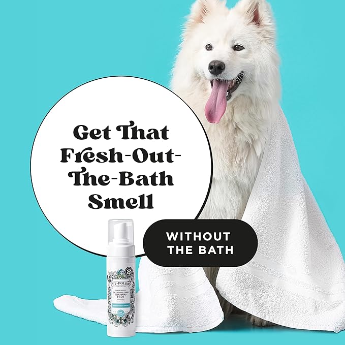 Poo-Pourri Rinse-Free Deodorizing Dry Shampoo for Dogs & Cats – Moisturizing Skin & Coat Soothing Formula - Plant Based Ingredients – Pineapple, Jasmine & Pear – No Rinse Foam Shampoo for Pet Odor