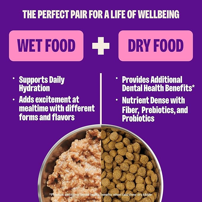Wellness Complete Health Pate Adult Canned Wet Cat Food, Natural, Protein Rich, Grain Free, Chicken Entrée Recipe, 5.5 oz, Pack of 24 Cans