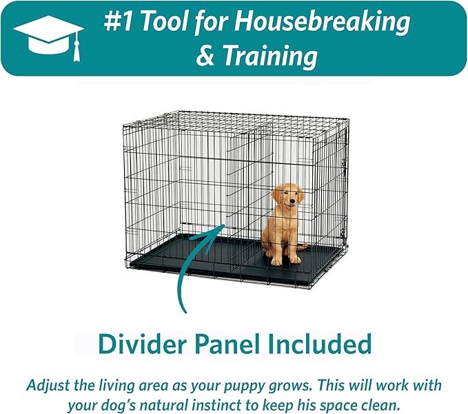 MidWest Homes for Pets 24-Inch iCrate for Small Breeds, 12-20 lbs, Double Door Folding Dog Crate with Divider Panel, Leak-Proof Tray & Secure Latches, Portable, Durable & Easy to Assemble