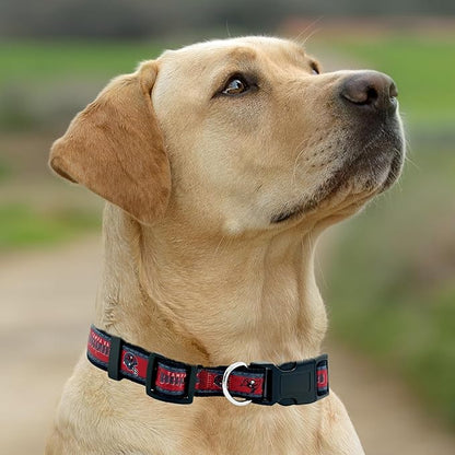 New & Improved Pets First NFL Licensed PET Collar- Heavy-Duty, Strong, and Durable New Dog Collar. Available in 32 Football Teams and 4 Sizes
