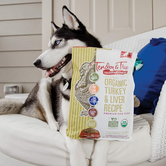 Dog holding a bag of Tender & True organic turkey and liver recipe dog food.