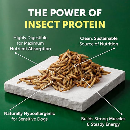 Nature's Protection Hypoallergenic Small Breed Dry Dog Food - High Protein, Grain Free Tear Stain Formula - Dog Kibble for Sensitive Stomachs for Adult Light Fur Dogs (Superior Care - Insect, 3.3 lb)