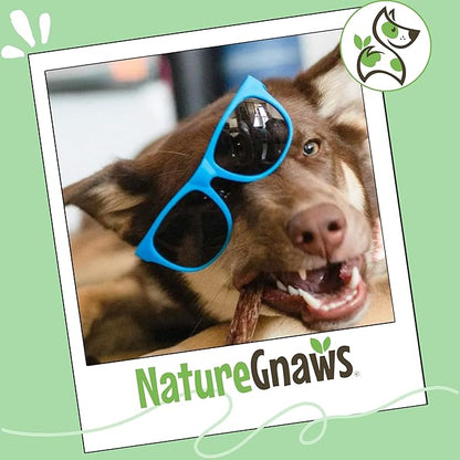 Nature Gnaws Beef Gullet Sticks for Dogs 5-6" (15 Count) - Natural Beef Jerky Stick Dog Chew Treats - Rawhide Free