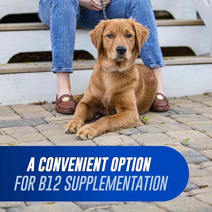 Nutramax Laboratories Cobalequin B12 Supplement for Medium to Large Dogs,45 Chewable Tablets,Hydrolyzed Chicken,2.08 Ounces,(Pack of 2)