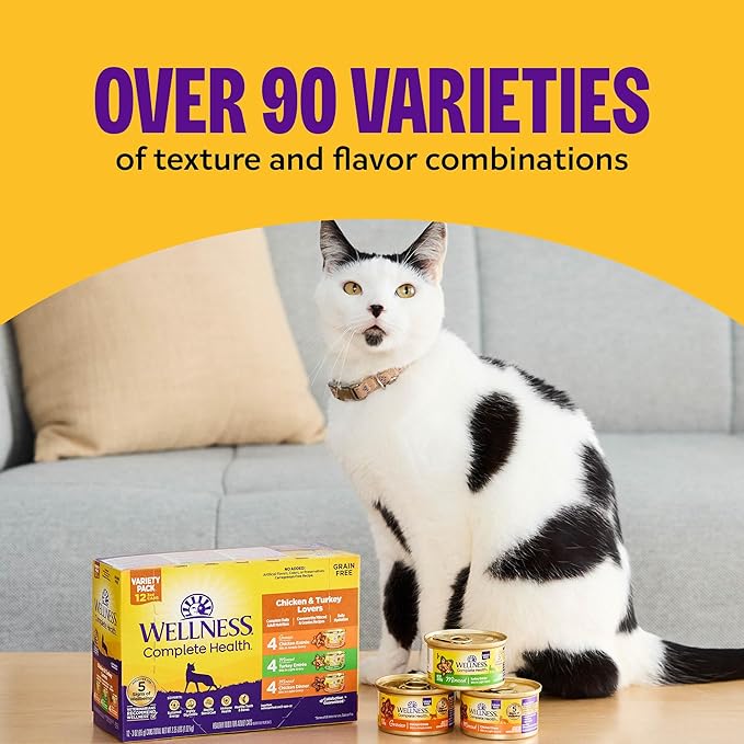Wellness Complete Health Pate Adult Canned Wet Cat Food, Natural, Protein Rich, Grain Free, Chicken and Lobster Dinner Recipe, 3 oz, Pack of 24 Cans